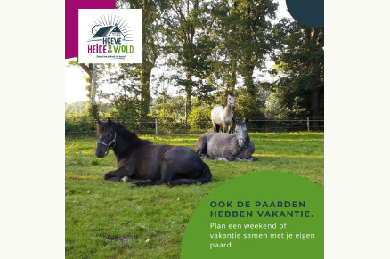 Vakantieboerderij Hoeve Heide en Wold met hottub direct aan ruiterroutes VMP010